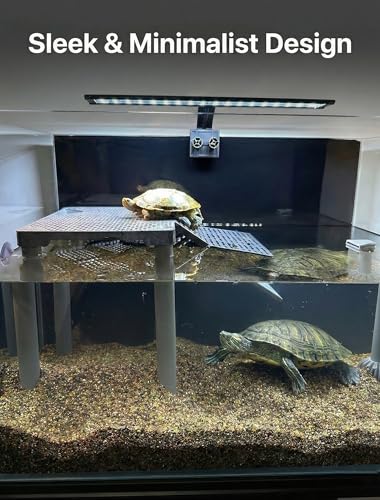 SolidForm Turtle Basking Platform with Ramp, Built-in Food Tray, Zero Zip-Tied, Non-Slip Ramp, 2 Adjustable Height Turtles Dock, for 25–75 Gallon Aquariums(11-in Width) Turtle Tank Accessories - size: Medium（10×7.8inches）