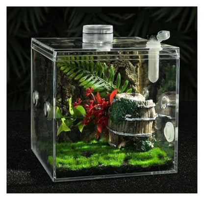 Reptile Breeding Box Jumping Spider Enclosure Jumping Spider Habitat Insects Mantis Faunarium