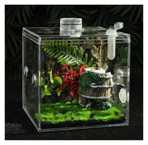 Reptile Breeding Box Jumping Spider Enclosure Jumping Spider Habitat Insects Mantis Faunarium