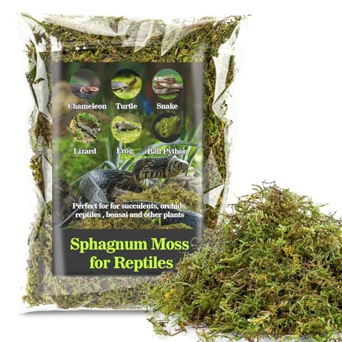 Sukh Sphagnum Moss for Reptiles - Green Terrarium Moss Substrate, 5oz | Habitat Bedding for Gecko, Snake, Turtle, Frog, Bearded Dragon, Jumping Spider, Chameleon, Enclosure & Tank Accessories Decor - color: Green, size: 5 Ounces