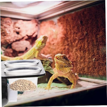 BESPORTBLE Reptile Feeding Ledge Set with Suction Cup Detachable Water Feeder and Food Bowl for Geckos Lizards Tortoises and Other Reptiles Easy to Clean Durable Design Set