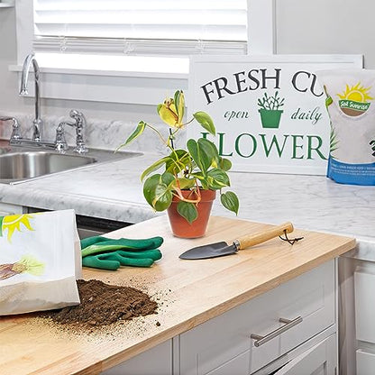 Soil Sunrise Philodendron Plant Potting Soil Mix (8 Quarts) Special Blend for Heart Shape Philodendron Plants Et Al.
