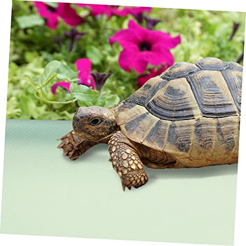 SUPVOX Reptile Carpet Liner for Bearded Dragon and Leopard Eva Substrate Mat for Terrarium Easy to Clean for Reptile Habitats - color: Light Green