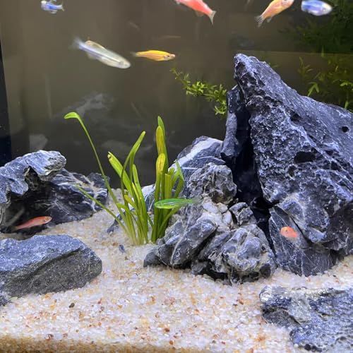 FANTIAN 5 lbs Aquarium Silica Sand, Beige Fish Tank Sand. Mini Gravel Substrate for Terrariums, Plants Potted, Fire Pits, Candle, Vase Filler and Crafts - color: Beige, size: 5 LB