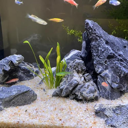 FANTIAN 5 lbs Aquarium Silica Sand, Beige Fish Tank Sand. Mini Gravel Substrate for Terrariums, Plants Potted, Fire Pits, Candle, Vase Filler and Crafts - color: Beige, size: 5 LB