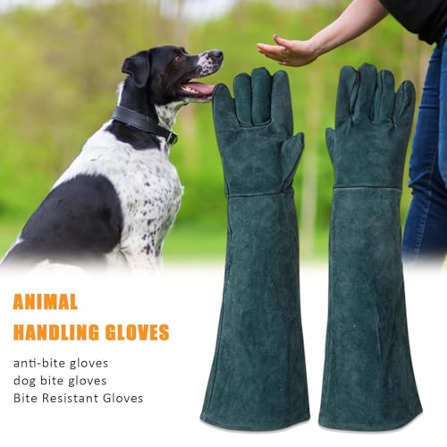 Animal Handling Gloves - Protective Pet Grooming Mitts, Scratch Resistant Cat Safety Gear | Reptile Handling Glove Leather, Puncture Proof Dog Training Gloves for Veterinary Use Wildlife Care - color: B