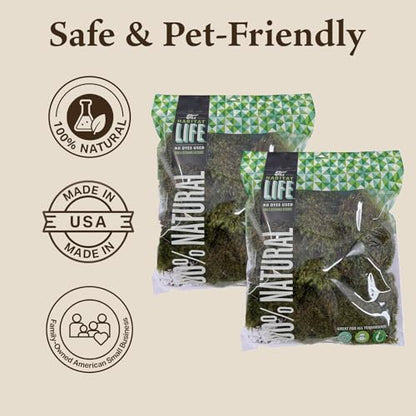 The Habitat Life - Natural Mood Moss - for Reptiles, Amphibians & Invertebrates Terrariums - Moisture-Retaining - Humidity Control - Soft Bedding - Dye-Free & Safe - Medium - 2 Pack - size: Medium (2-Pack), style: Mood Moss