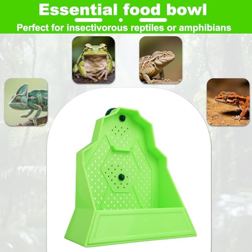 Large Capacity Bearded Dragon Feeder, Escape-Proof Reptile Corner Hunting Bowl with Suction Cups Wall-Mounted Reptile Feeding Box for Lizards Geckos Chameleons & Frogs (Green)