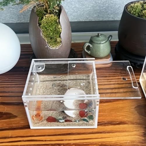 Spider Terrarium, Easy Observation, 10.5x8.5x6cm, Transparent Breeding Box, Frog Breeding Box, Portable and Convenient Enclosure, for Spiders, Snakes, Lizards, Frogs, Geckos