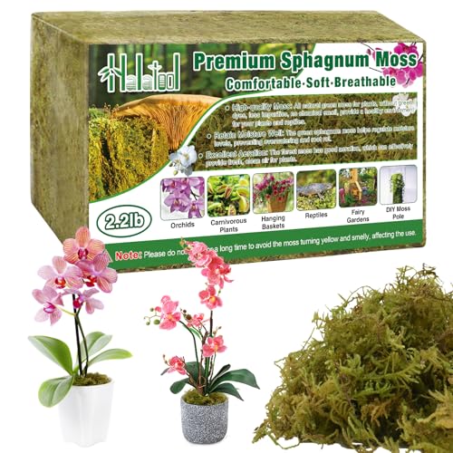 Halatool 2.2LB Premium Sphagnum Moss for Plants, 50QT Green Moss for Plants Indoor Potted Orchid Moss for Repotting Succulent Carnivorous Terrarium Gardening Reptiles - color: 2.2 lb