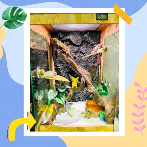 2 Pack Tree Frog Tank Accessories - Toad Habitat Decoration Reptile Creative Feeding Bowl for Toad, Tadpole, Lizard, Leopard Gecko, Hermit Crabs, Corn Snake, Spider, Scorpion, Amphibian, Aquatic