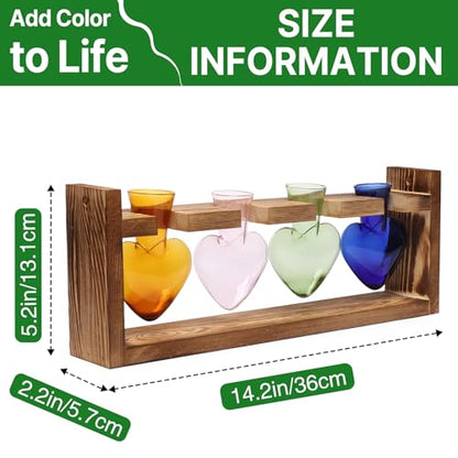 Plant Propagation Stations Heart Plant Terrarium Kit Gift for Women Plant Lover Glass Vases - color: Color02