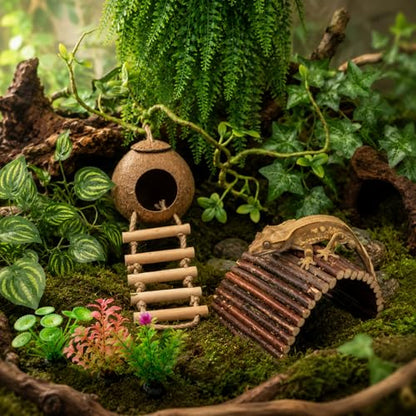 RUNANIA Crested Gecko Tank Accessories，Reptile Vines Plants with Coconut Shell Ladder Hideout Hermit Crab Decor for Leopard Gecko Lizard Chameleon Tortoise Snake Terrarium Decor