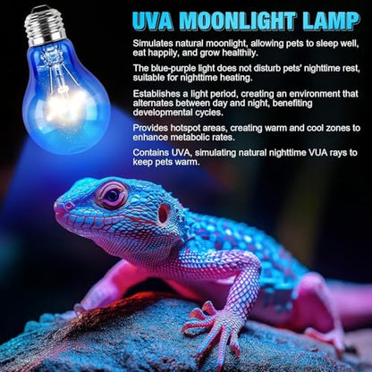 Sxminer 6 Pcs 100W Reptile Night Heat Lamp Bulbs - Infrared Ceramic Heat Emitter for Terrarium, No Light Disturbance A19 E26 Base 110V for Turtle, Lizard, Chickens Coop((Blue)