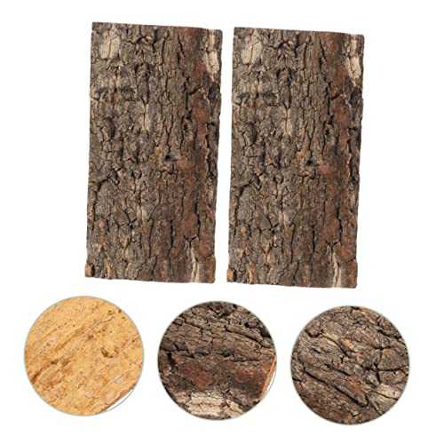 BESPORTBLE 2pcs Bark Aquarium Decor for Reptiles Safe and Wear-Resistant Terrarium Background for Fish Tanks and Reptile Habitats Each