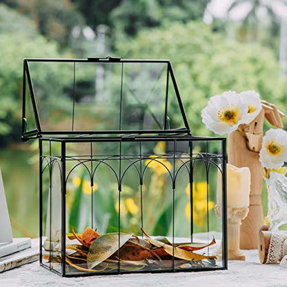 NCYP Glass Terrarium with Lid for Cacti, Succulents, Small Plants - 7.5 x 4.9 x 9 inches Closed Geometric Planter Box - Home Indoor Tabletop House Shape Decorative, Black (Terrarium Only)