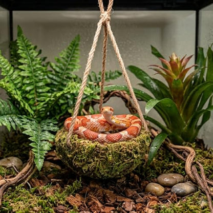 Humid Reptile Hide Leopard Gecko Tank Accessories Coconut Hide for Crested Gecko Tank Decor Handmade Moss Bearded Dragon Hammock Reptile Hideouts for Snake,Tortoise,Frog