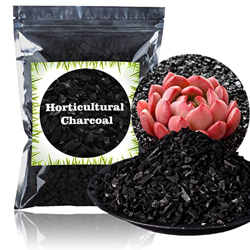 Doter Horticultural Charcoal for Plants 1 qt, All Natural Hardwood Charcoal, Activated Charcoal for Soil Amendment, Orchids, Terrariums, and Gardening - color: Horticultural Charcoal, size: 1qt