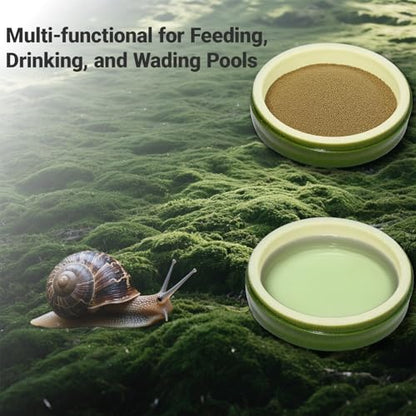 2 Pack Snail Water and Food Bowl，atural Design Food Bowl for Pet Snails, Garden Snails Pet Land Snail Terrarium Supplies - color: green