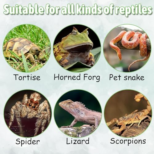 PINVNBY Reptile Water Dish, Snake Water Bowl, Resin Turtle Basking Platform with Artificial Plants, Crested Gecko Tank Accessories for Bearded Dragon, Hermit Crab, Snake (Smooth)