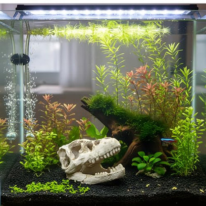 Mini T-Rex Skull Aquarium & Reptile Tank Decor – Dinosaur Fossil Hideout for Fish, Geckos, Hermit Crabs, and Terrariums – Small Resin Jurassic Decoration for Aquascape, Vivarium, or Pet Habitat