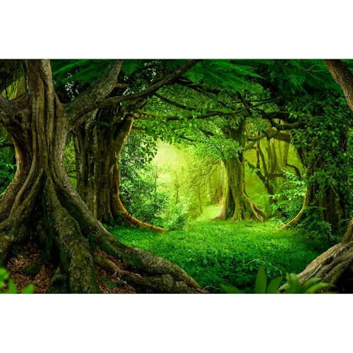 Forest Aquarium Background Lush Green Tropical Rainforest Natural Landscape Terrarium Background Jungle Forest with Sunbeams Old Huge Trees Fish Tank Background Wallpaper Poster Vinyl 36x18in - color: Forest Green, size: 36(W)x18(H)inches/ 90(W)*45cm(H)