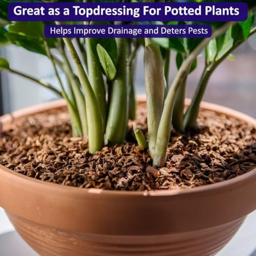 SuperMoss (23108) Orchid Potting Bark, 100% Natural White Fir Bark, 1/4", 2qt - size: 80.75 Cu. In., style: 1/4"