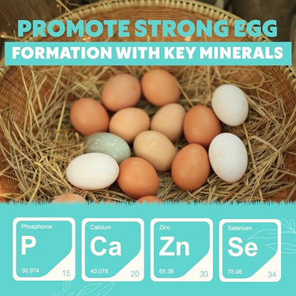 Fresh Eggs Daily Poultry Electrolyte Powder - Hydration Support Drink Mix with Probiotics for Chickens & Ducks - Natural Supplement for Environmental Challenges, Immune Health & Egg Quality - 8 Oz