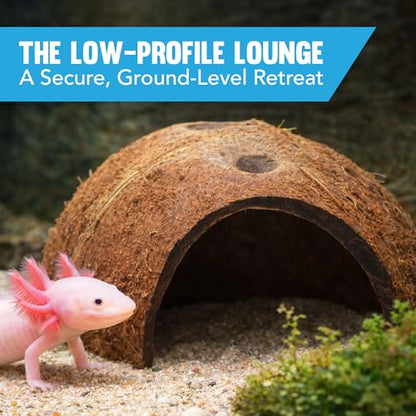 JOR Axolotl Cave, Coconut Shell Hideout and Resting Tunnel, Shelter for Pleco, Crabs, Fish, Turtles, Geckos, Tank Décor, 5” x 3”, 1 Pc Per Pack