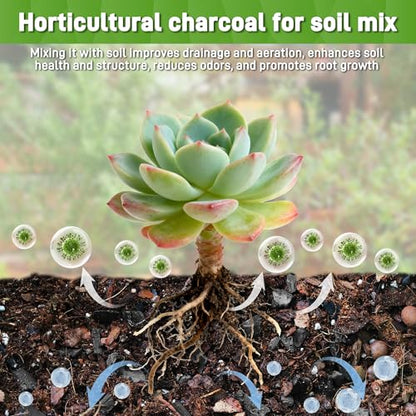 2 Quarts Horticultural Charcoal for Indoor Plants-Hardwood Potting Soil Amendment for Orchids, Succulent, Cactus, Terrariums, and Gardening