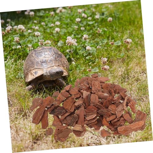 BESPORTBLE 1bag Reptile Terrarium Bark Chips Decor Bedding Tank Liner Chameleon Substrate Reptile Substrate Bark