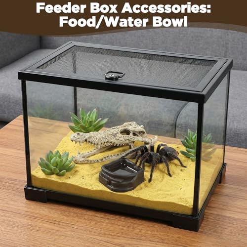 6 Pcs Spider Micro Water Bowls, Tarantula Enclosure Accessories, Mini Resin Dish for Tarantula, Spider, Millipede and Tiny Reptiles, Small Reptile Food Dish Bowl (1.65" D, 0.59" H)