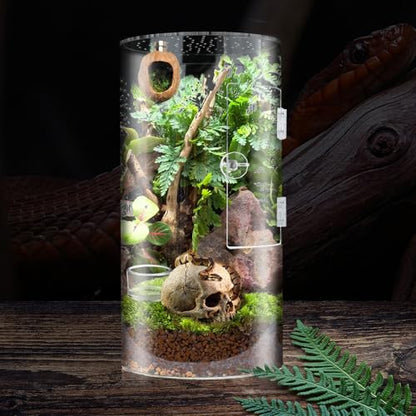 Front Opening Acrylic Terrarium for Jumping Spiders, Arboreal Tarantulas, Lizards & Snails - 6x6x12in Cylindrical Enclosure with Base & Ventilation