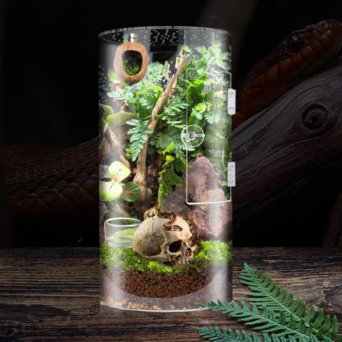Asixxsix Jumping Spider Enclosure, Transparent Acrylic Habitat Terrarium Traditional Lock Mechanism Water Proof Base Terrarium with Front Opening Door for Jumping Spiders