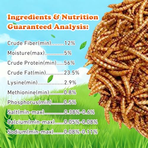 Amzey Dried Mealworms 11 LBS - 100% Natural for Chicken Feed, Bird Food, Fish Food, Turtle Food, Duck Food, Reptile Food, Non-GMO, No Preservatives, High Protein and Nutrition - size: 11 Pound (Pack of 1)