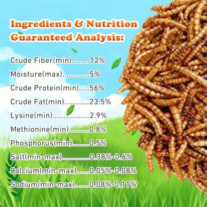Amzey Dried Mealworms 11 LBS - 100% Natural for Chicken Feed, Bird Food, Fish Food, Turtle Food, Duck Food, Reptile Food, Non-GMO, No Preservatives, High Protein and Nutrition - size: 11 Pound (Pack of 1)