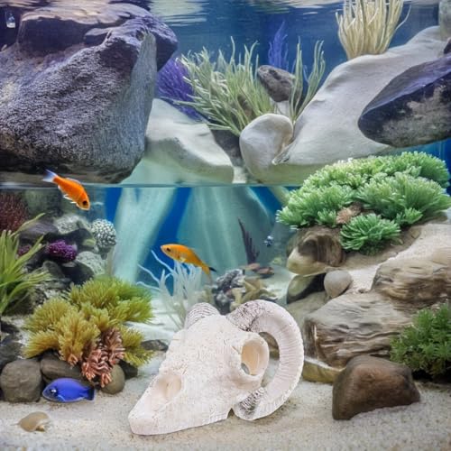 POPETPOP Reptile Skull Hideout Cave Resin Bull Skull Aquarium Decoration Large Fish Tank Habitat Hideout Terrarium Ornament for Snake Lizard Pets