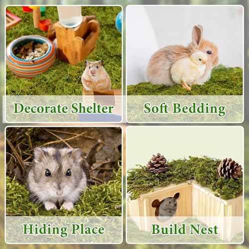 Halatool 25QT Hamster Moss for Bedding Nesting Hideout, 100% Natural Moss for Rabbits Squirrels Hamsters Guinea Pigs, Small Animals Cage Accessories Terrariums Reptiles Plants - size: 1.1lb/25qt