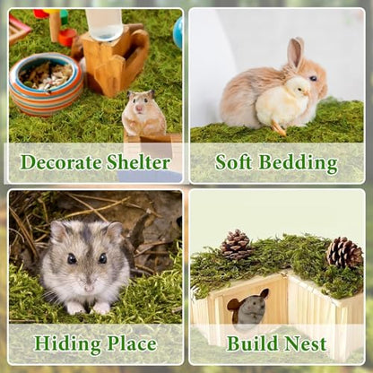 Halatool 25QT Hamster Moss for Bedding Nesting Hideout, 100% Natural Moss for Rabbits Squirrels Hamsters Guinea Pigs, Small Animals Cage Accessories Terrariums Reptiles Plants - size: 1.1lb/25qt