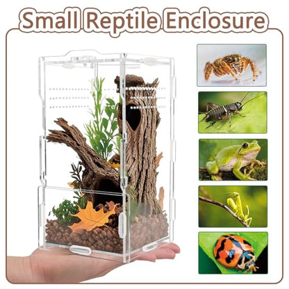 Jumping Spider Enclosure Acrylic Terrarium 8x4x4 - color: Transparency-Basic