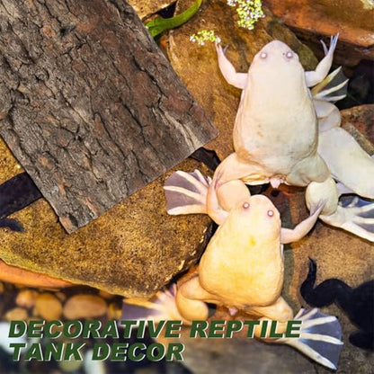 Kisangel Natural Cork Bark Aquarium Decor 4Pcs 7.87X4.13 Inch Terrarium Bark Background Reptile Tank Accessory for Climbing Habitat and Fish Tank Decoration
