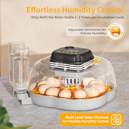 Chicken & Quail Egg Incubator, 12 Egg Incubators for Hatching Eggs, Two Egg Trays, Automatic Egg Turning with Auto Stop, Incubation Day & Period, Auto Refill, Egg Candler, Air Vent, 360° Clear View - size: 12 Eggs + 30 Quail Eggs