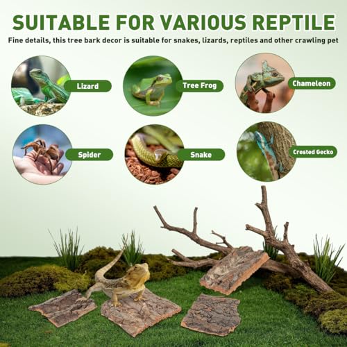 CLISPEED 4Pcs Reptile Bark Climbing Platform Natural Wood Terrarium Decor Reptile Hide Accessories for Snakes Lizards Small Pets Habitat