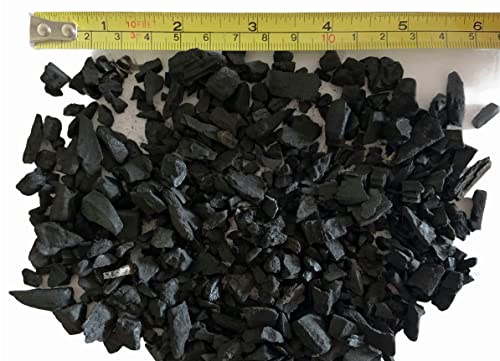 Organic Horticultural Charcoal & Terrarium Charcoal | Charcoal for Plants | Pure Hardwood Charcoal for Planting and Gardening | Organic Canadian Maple Biochar - size: 1 Quart