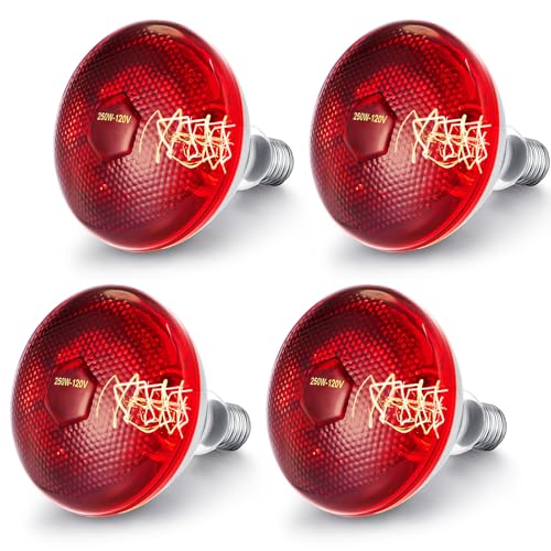VIHOSE 4 Pack Infrared Heat Lamp for Chickens 250watt 120v Thickened Red Heat Lamp Bulbs for Food Service, Reptile, Pet, Bathroom, Light Therapy Use E26 Base - style: 250 Watt