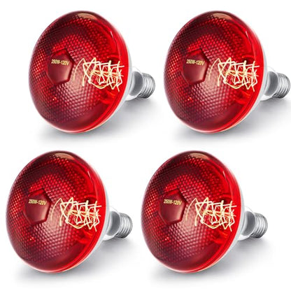 VIHOSE 4 Pack Infrared Heat Lamp for Chickens 250watt 120v Thickened Red Heat Lamp Bulbs for Food Service, Reptile, Pet, Bathroom, Light Therapy Use E26 Base - style: 250 Watt