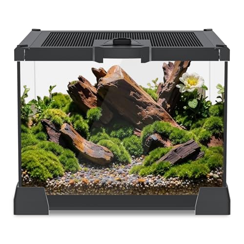 8.5" UVB 10.0 LED Light Bar + 8"x8"x6" Mini Glass Terrarium – UVA/UVB Lamp with Timer & Dimming, Ventilated Clear Habitat Enclosure for Jumping Spiders, Lizards, Turtles & Small Reptiles