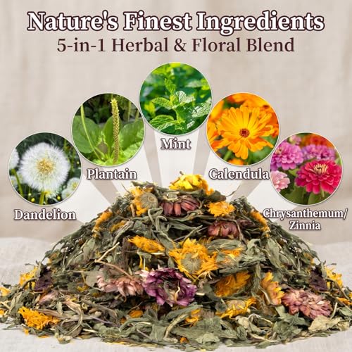 RAINFLOW Dandelion Delicacy for Small Pets – 6oz Natural Dried Dandelion & Herb Blend for Rabbits, Guinea Pigs, Hamsters & Chinchillas, High Fiber Forage Snack for Feeding and Enrichment