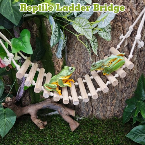 VCEPJH Loose Coconut Fiber Substrate 2 Pack Natural Coco Coir Reptile Bedding and 2 Pcs Reptile Bridge Leopard Gecko Climbing Ladder Wooden Basking for Crested Gecko Bearded Dragon Hermit Crab