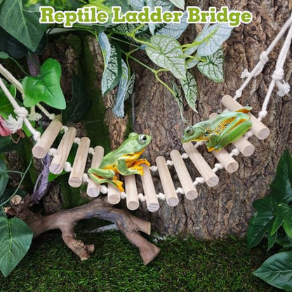 VCEPJH Snake Climbing Branch, 2Pcs Reptile Wood Natural Cork Log and 2 Pcs Reptile Bridge Leopard Gecko Climbing Ladder Wooden Basking for Crested Gecko Bearded Dragon Hermit Crab
